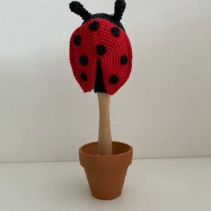 Sambabal lieveheersbeestje