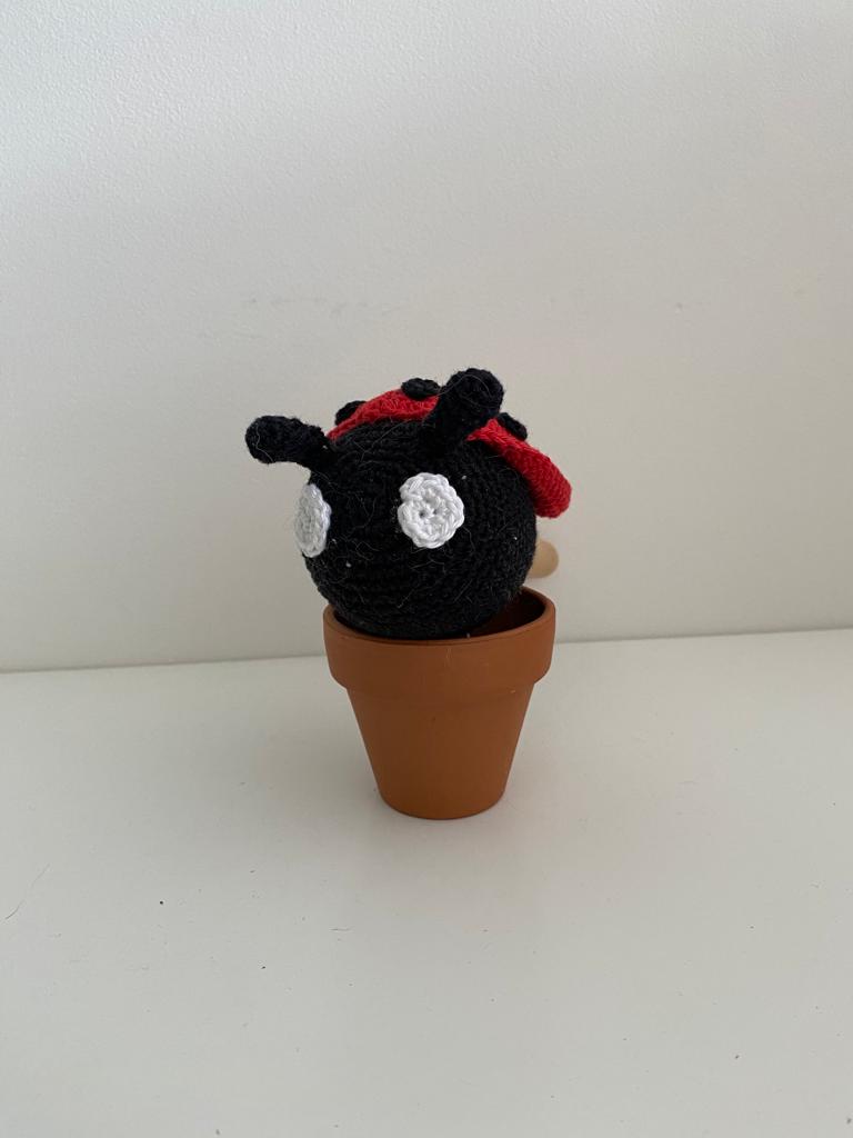 Sambabal lieveheersbeestje